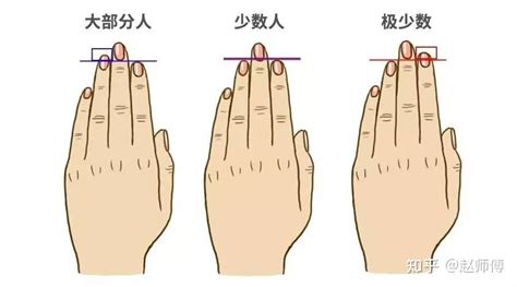 手指長度代表